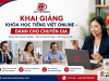 KHAI GIẢNG KHÓA HỌC TIẾNG VIỆT ONLINE – DÀNH CHO CHUYÊN GIA