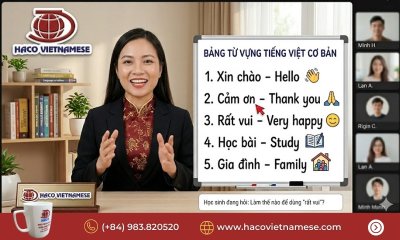 Học tiếng Việt online cho người Nhật hiệu quả – Lộ trình chuẩn từ Tiếng Việt HACO