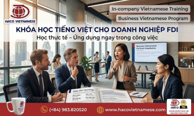 Khóa học tiếng Việt Business cao cấp – Giao tiếp chuyên nghiệp cho lãnh đạo và chuyên gia nước ngoài