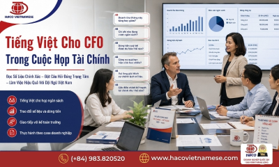 Khóa học tiếng Việt cho Giám đốc Tài chính CFO | Tiếng Việt HACO