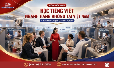 Học Tiếng Việt Ngành Hàng Không Cho Chuyên Gia Nước Ngoài Tại Việt Nam