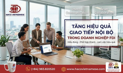 Tiếng Việt cho công ty FDI – Giải pháp đào tạo ngôn ngữ cho doanh nghiệp nước ngoài