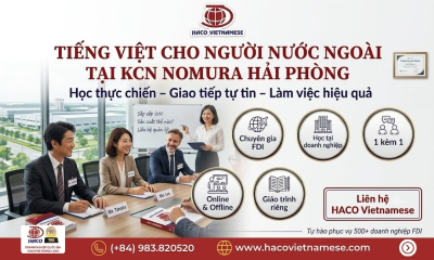  Top 7 Khó Khăn Người Nước Ngoài Tại KCN Nomura Hải Phòng Thường Gặp Khi Học Tiếng Việt