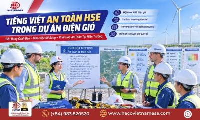 Tiếng Việt Chuyên Ngành Năng Lượng Tái Tạo Điện Gió Cho Người Nước Ngoài