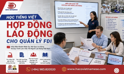 Học Tiếng Việt Đọc Hiểu Hợp Đồng Lao Động Cùng HACO Vietnamese