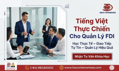 Tiếng Việt Thực Chiến Cho Quản Lý FDI Hiệu Quả Tại HACO Vietnamese