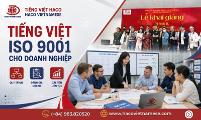 Tiếng Việt HACO – Đào Tạo Tiếng Việt ISO 9001 Cho Doanh Nghiệp
