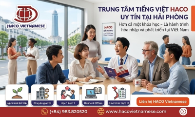 Top 5 Lý Do Người Nước Ngoài Tại Hải Phòng Chọn Trung Tâm Tiếng Việt HACO Để Học Tiếng Việt Hiệu Quả