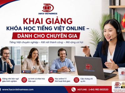 KHAI GIẢNG KHÓA HỌC TIẾNG VIỆT ONLINE – DÀNH CHO CHUYÊN GIA