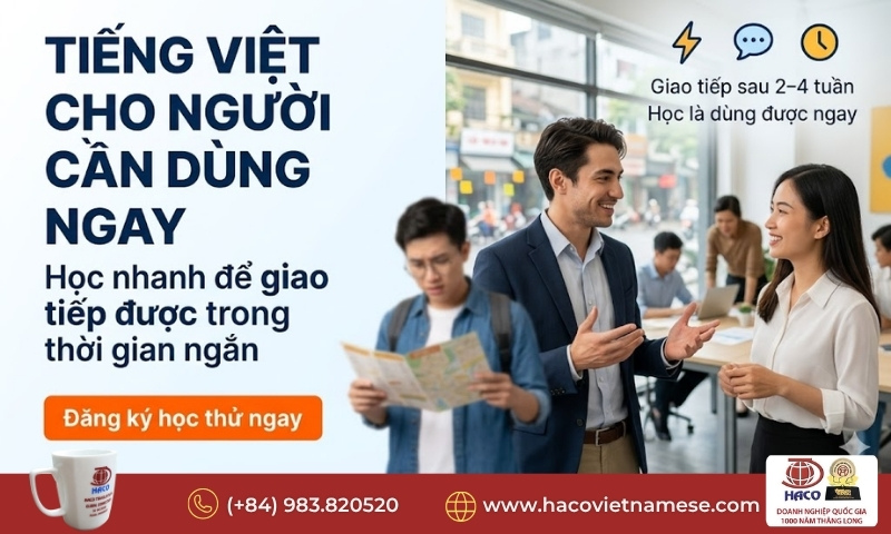 Tiếng Việt cho người cần dùng ngay
