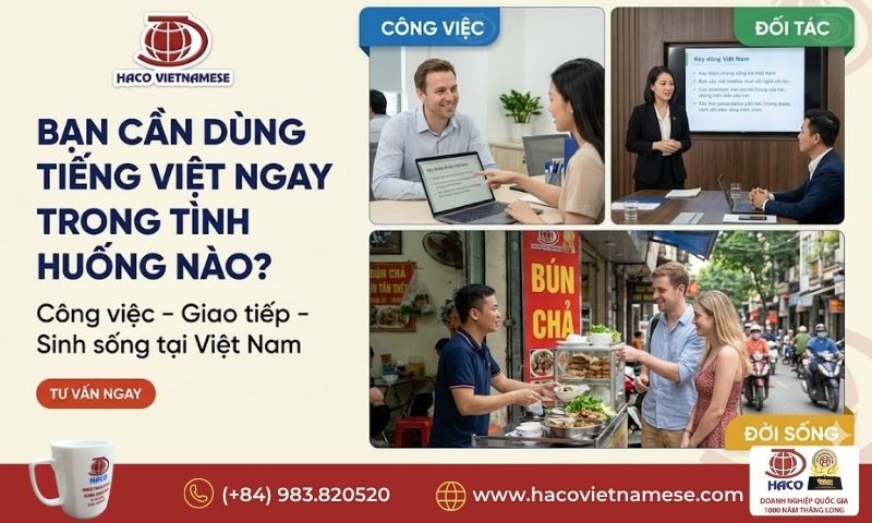 Tiếng Việt cho người cần dùng ngay
